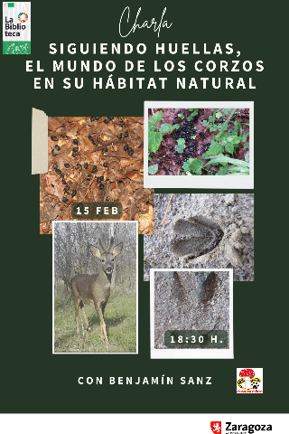 15feb_charla_corzos