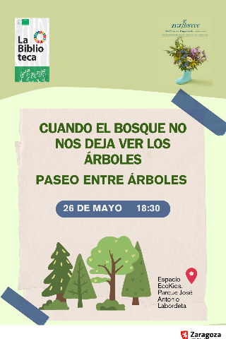 26mayzgzflorece
