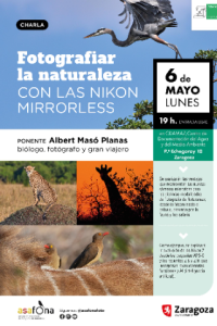 albert_mas__cdamaz_vertical_24_baja_resolucion