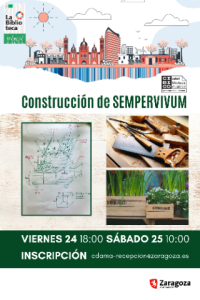 taller_sempervivum