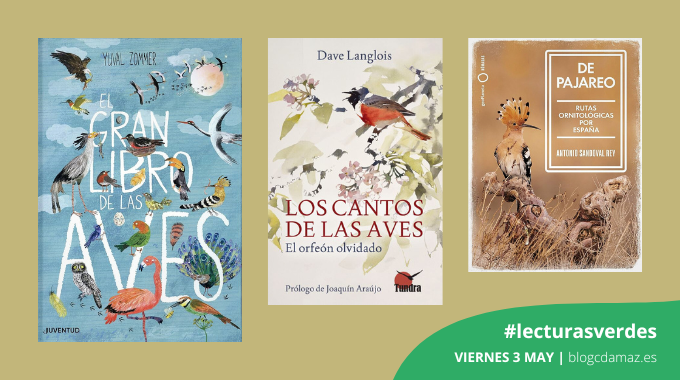Aves: rutas y cantos