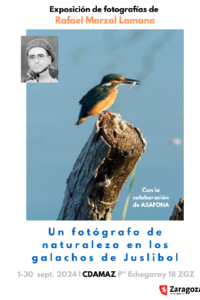 cartel_expo_rafael_marzal