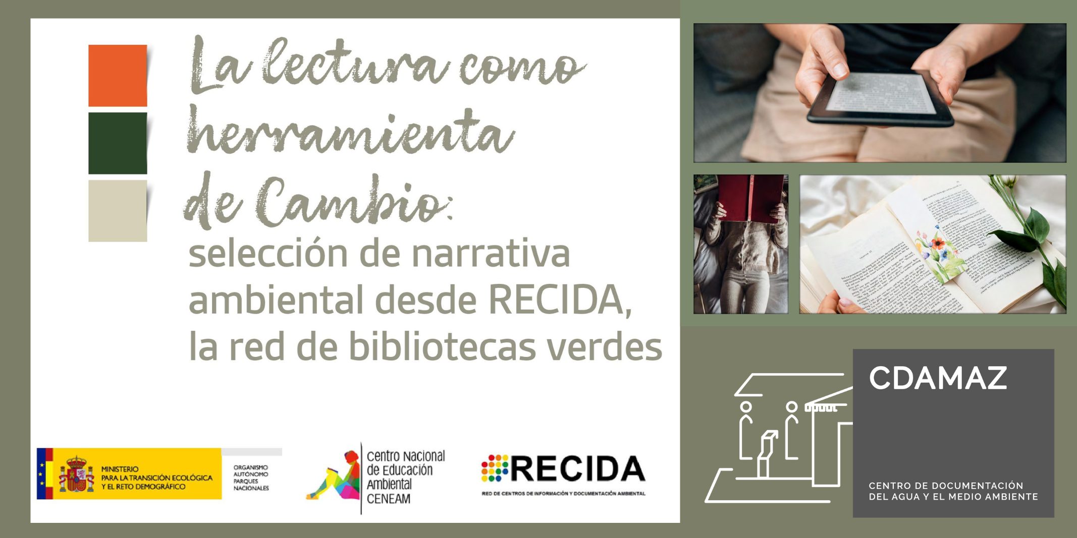 PROGRAMACION (3)