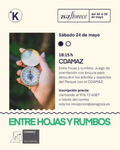 WhatsApp Image 2025-05-19 at 11.02.35-1 Entre hojas y rumbos