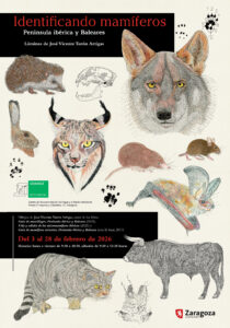CARTEL EXPO FEB TURON