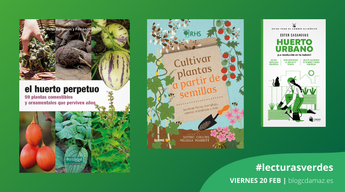 Cultivar un huerto: de las semillas a los espacios