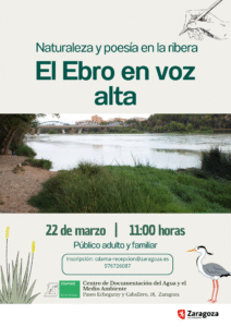 EVENTOS ADULTOS E INFANTIL
