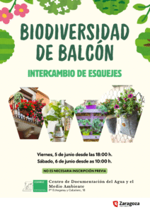 5 y 6 JUN. Biodiversidad de balcón